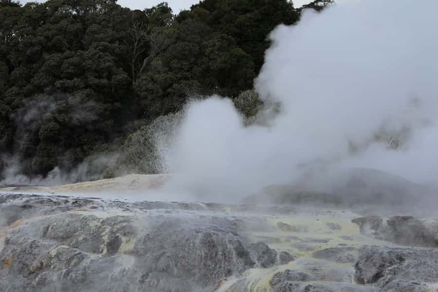 From Auckland: Hobbiton & Rotorua Tour with Lunch at Te Puia - Hobbiton: more than a quick film-set photo