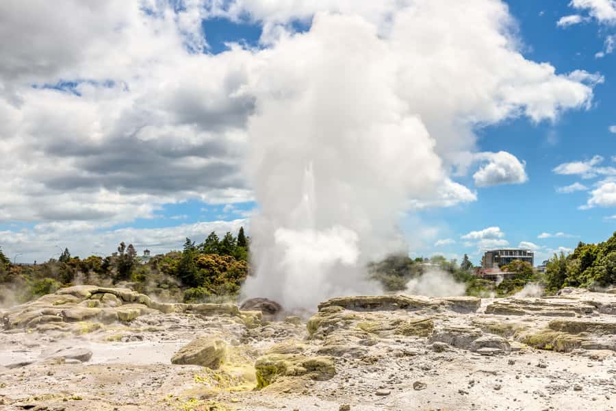 From Auckland: Hobbiton & Rotorua Tour with Lunch at Te Puia - The Te Puia buffet lunch