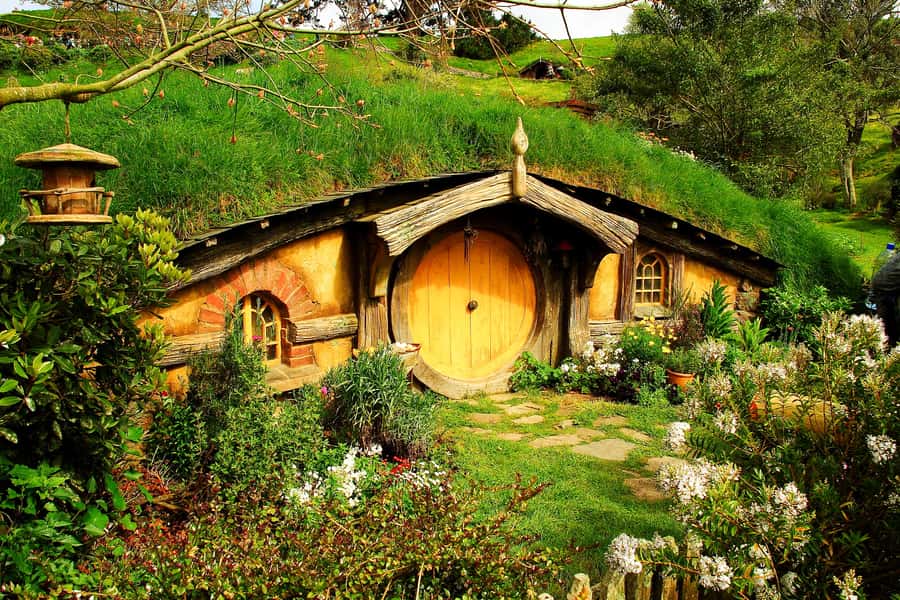 From Auckland: Hobbiton & Rotorua Tour with Lunch at Te Puia - Who will enjoy this tour most