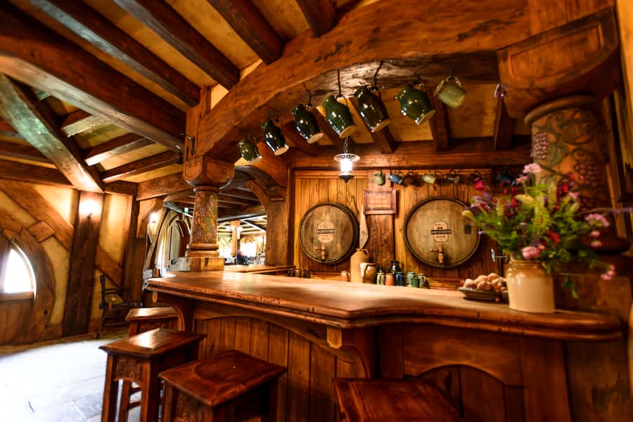 From Auckland: Hobbiton & Waitomo Caves Day Trip with Lunch - Why this makes sense from Auckland