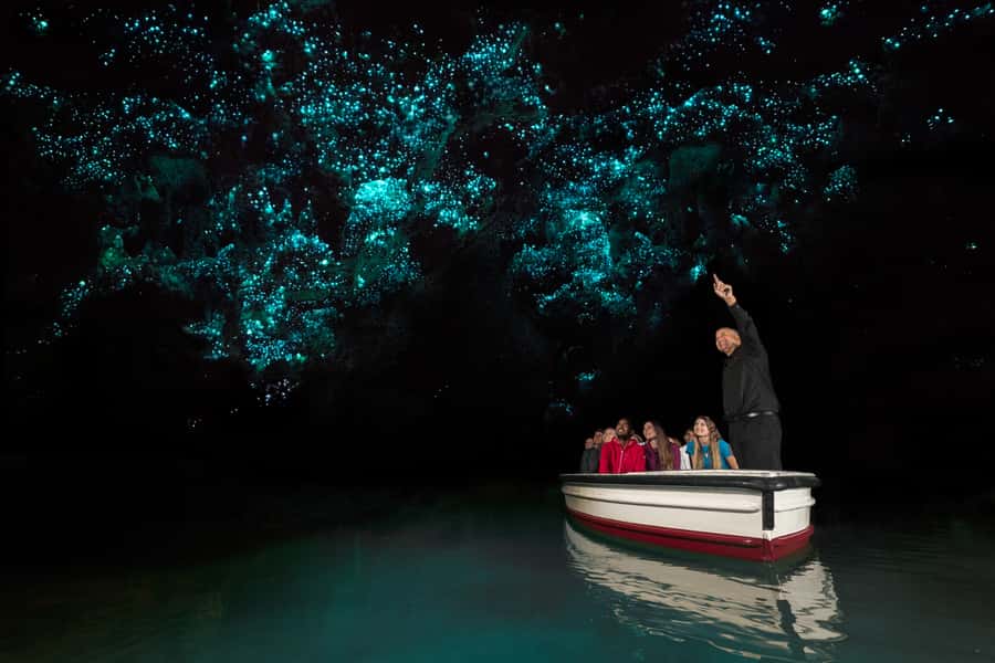 From Auckland: Hobbiton & Waitomo Caves Day Trip with Lunch - Small groups, guides, and the pace of the day