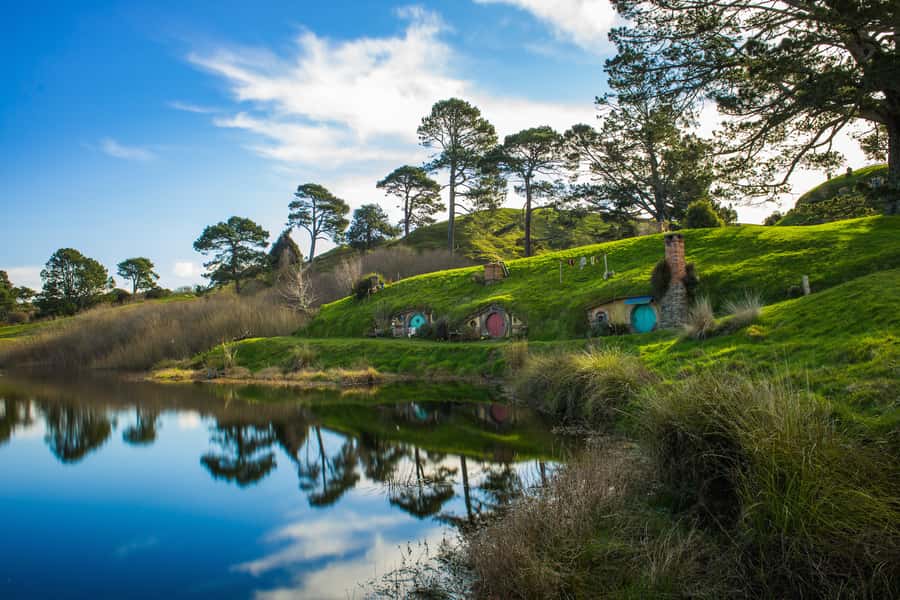 From Auckland: Hobbiton & Waitomo Caves Day Trip with Lunch - The southbound drive through Waikato
