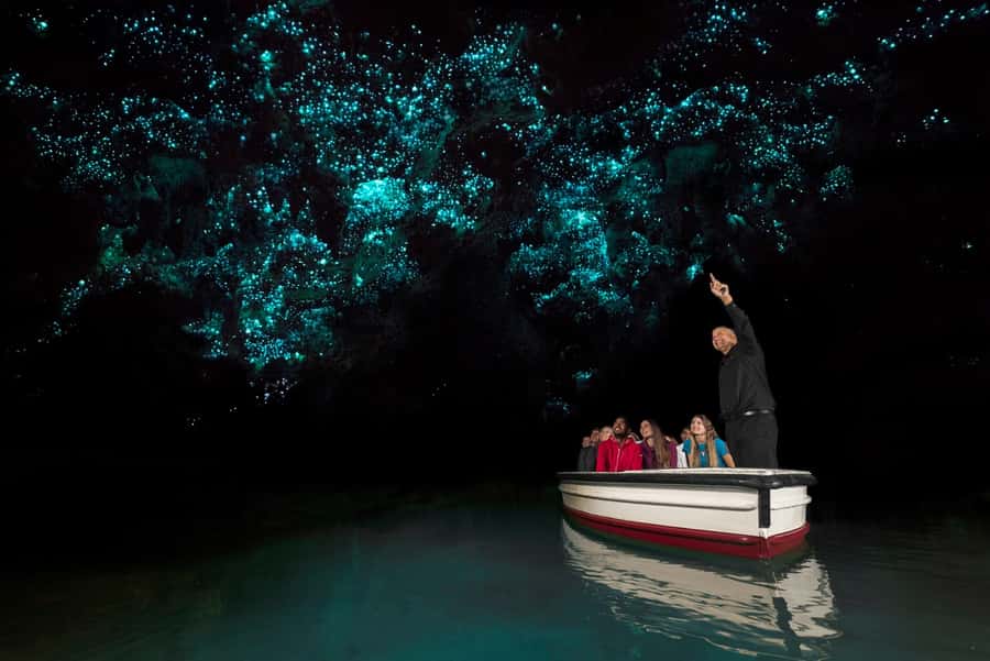 From Auckland: Hobbiton & Waitomo Caves Full-Day Trip - Key points to know before booking