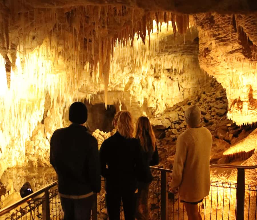 From Auckland: Hobbiton & Waitomo Caves Full-Day Trip - Waitomo Glowworm Caves: quiet, dark, and completely different