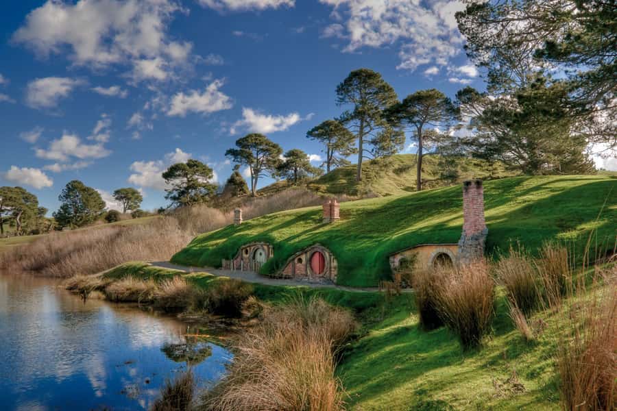 From Auckland: Hobbiton & Waitomo Caves Full-Day Trip - Who should book this day trip?