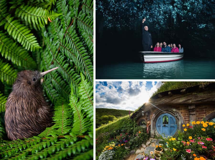 From Auckland: Hobbiton, Waitomo Caves & Kiwi House Tour - Auckland Pickup and the Road Into Waikato