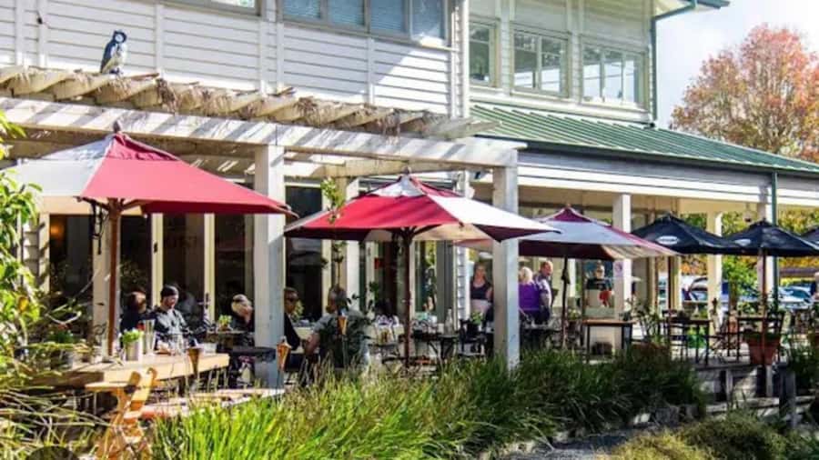From Auckland: Kiwi Bird Encounter & 3-Course Dinner Tour - Dinner beside the Matakana River