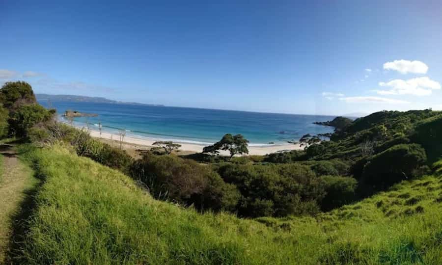 From Auckland: Kiwi Bird Encounter & 3-Course Dinner Tour - Hot chocolate, cookies, and bubbles at the finish