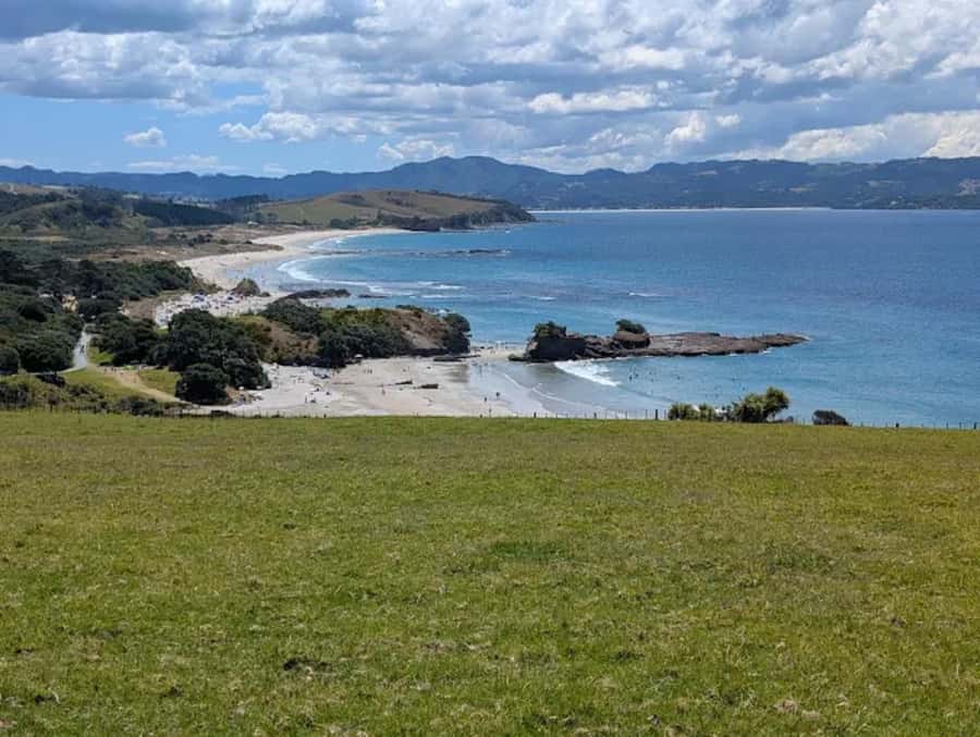 From Auckland: Kiwi Bird Encounter & 3-Course Dinner Tour - Who should book this experience