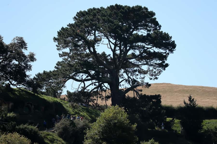 From Auckland or Rotorua: Hobbiton & Waitomo Tour with Lunch - Waitomo changes the mood completely