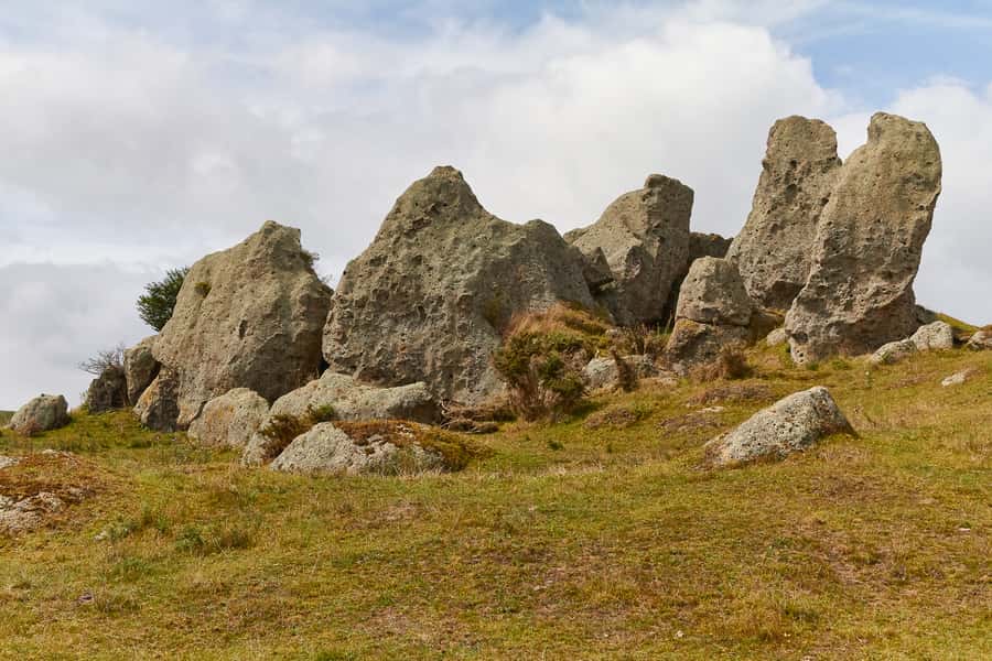 From Auckland or Rotorua: Hobbiton & Waitomo Tour with Lunch - Who will get the most from this tour