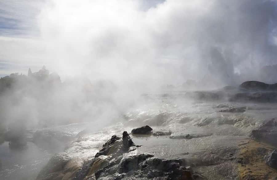 From Auckland: Rotorua Māori Village & Hot Springs with Haka - Lunch and free time around the geothermal area