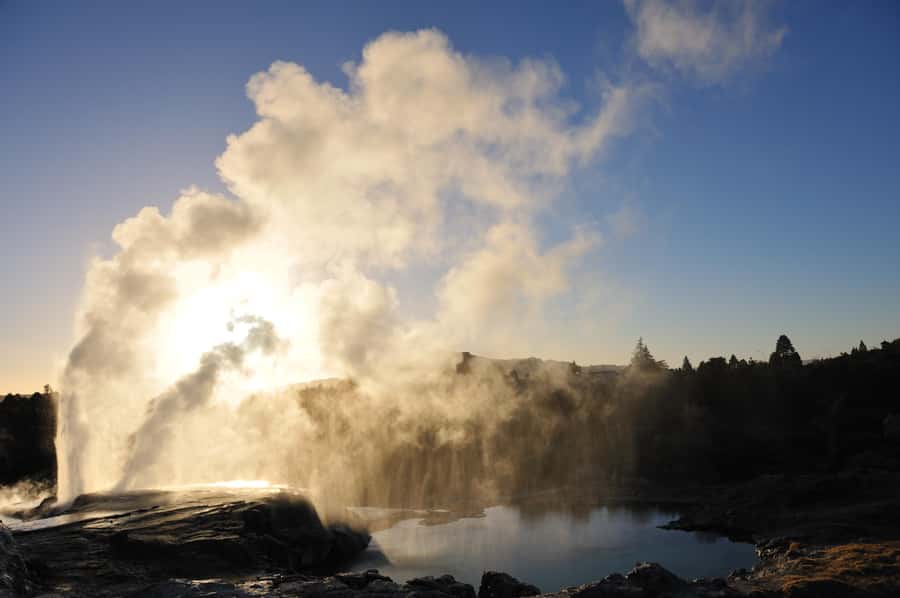 From Auckland: Rotorua Te Puia, Haka & Polynesian Spa Tour - Key things to know before booking