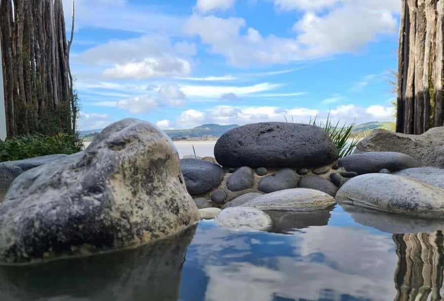 From Auckland: Rotorua Te Puia, Haka & Polynesian Spa Tour - Should you book this Rotorua tour?
