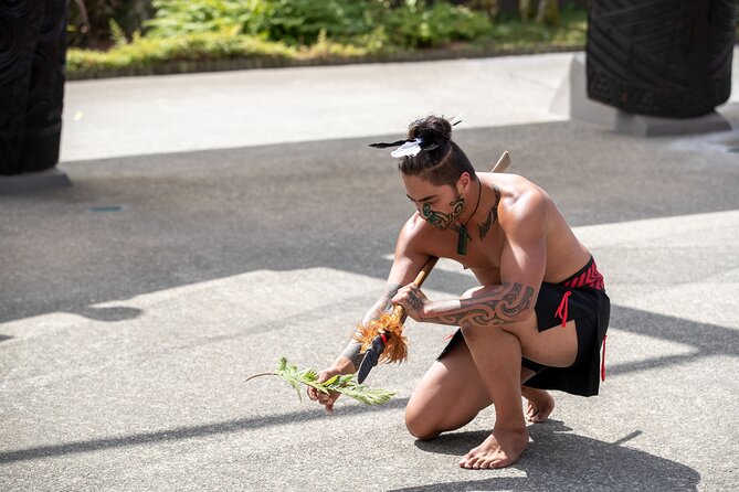 From Auckland : Rotorua Tepuia Tour with Haka and Hangi Lunch - Is $238.92 good value?