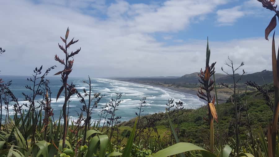 From Auckland: Small Group Kumeu Wine Tour with Lunch - Muriwai adds wild coast and open views