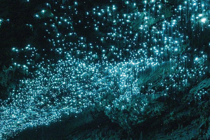 From Auckland: Spellbound, Waitomo Glowworm Cave Small Group Tour - Key points to know before booking