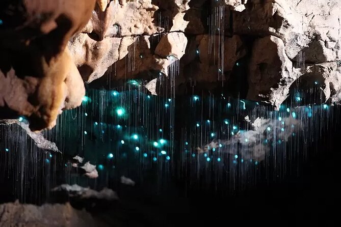 From Auckland: Spellbound, Waitomo Glowworm Cave Small Group Tour - The second cave: formations, fossils, and geology