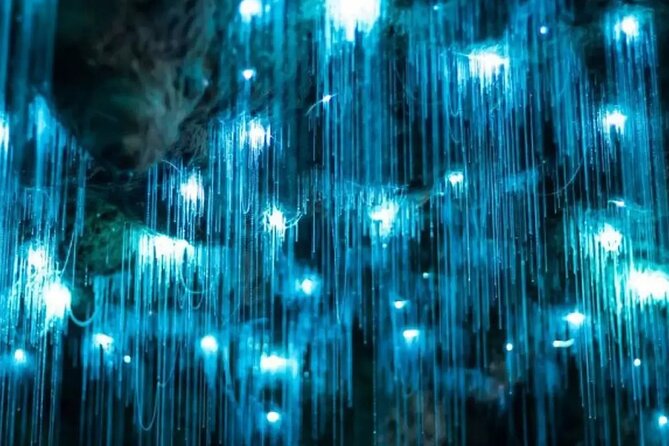 From Auckland: Spellbound, Waitomo Glowworm Cave Small Group Tour - The break between caves and lunch in Otorohanga