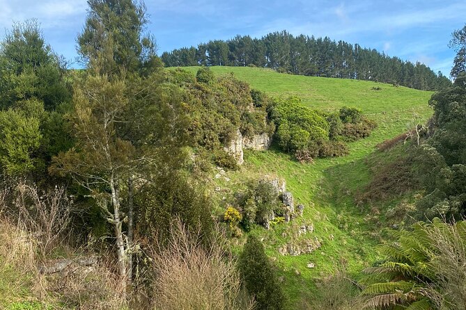 From Auckland: Spellbound, Waitomo Glowworm Cave Small Group Tour - What the $201.69 price really covers