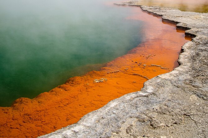 From Auckland to Rotorua Waiotapu and Activity Combinations - Lady Knox Geyser: a fast, dramatic stop