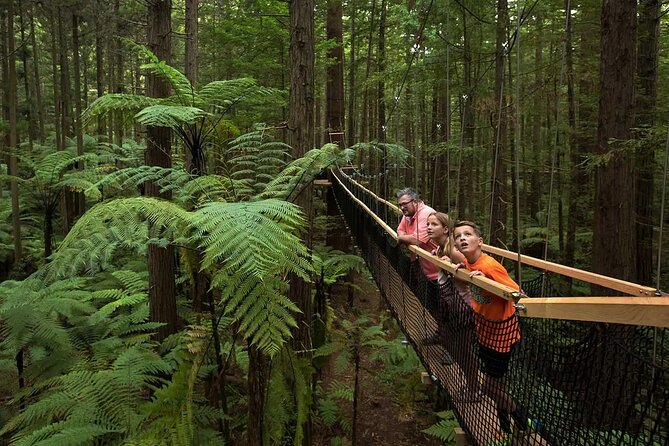From Auckland to Rotorua Waiotapu and Activity Combinations - A short introduction to Rotorua