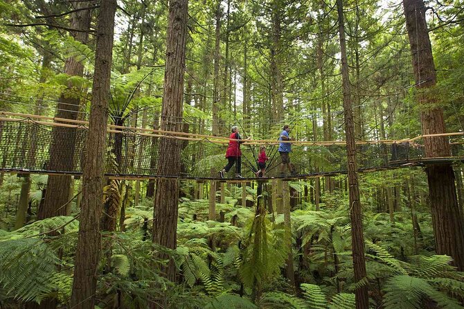 From Auckland Wai Ariki and Rotorua Redwoods Small Group Tour - What the small group changes