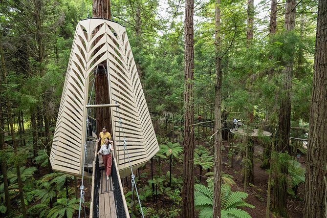 From Auckland Wai Ariki and Rotorua Redwoods Small Group Tour - Is the $263.74 price fair?