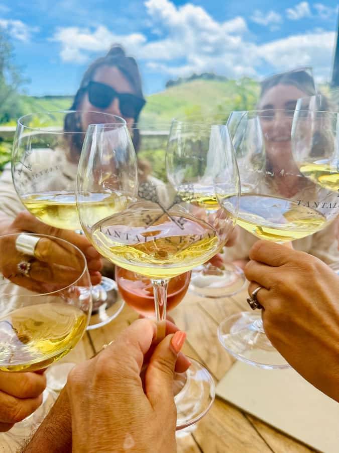 From Auckland: Waiheke Island Wineries' Tour - The morning ferry from Auckland to Waiheke