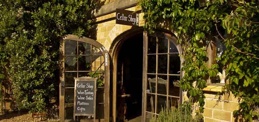 From Auckland: Waiheke Island Wineries' Tour - What the guides add to the experience