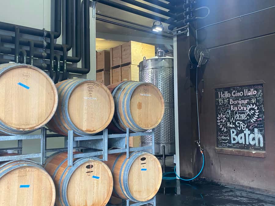 From Auckland: Waiheke Island Wineries' Tour - The pace, the ferry home, and the final walk