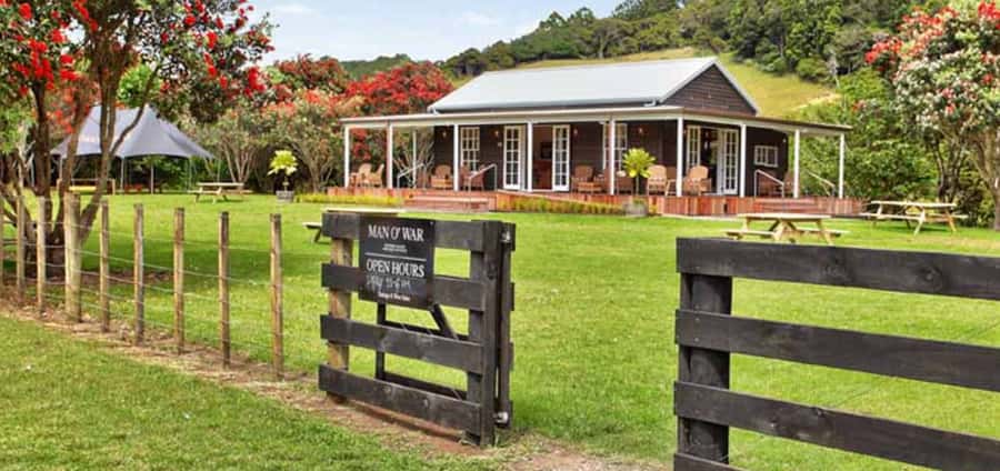From Auckland: Waiheke Island Wineries' Tour - Who should book this Waiheke wine tour?