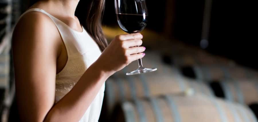 From Auckland: Waiheke Island Wineries' Tour - A van ride that keeps the island in view