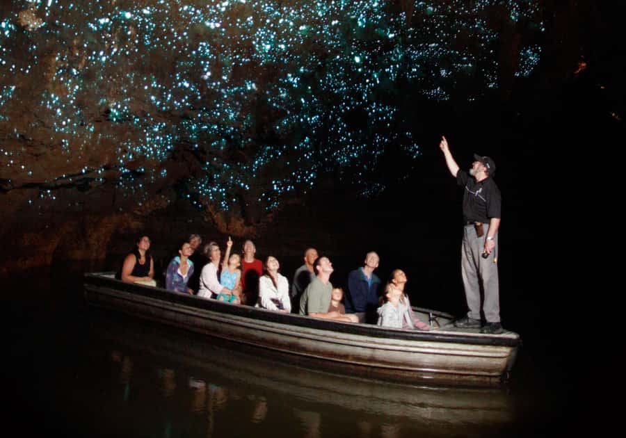 From Auckland: Waitomo Caves and Kiwi House Group Tour - Auckland pickup and the long road south
