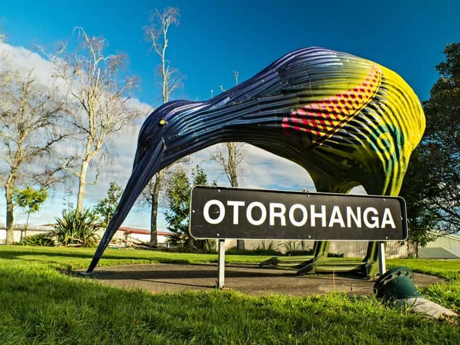 From Auckland: Waitomo Caves and Kiwi House Group Tour - Who will enjoy this day most?