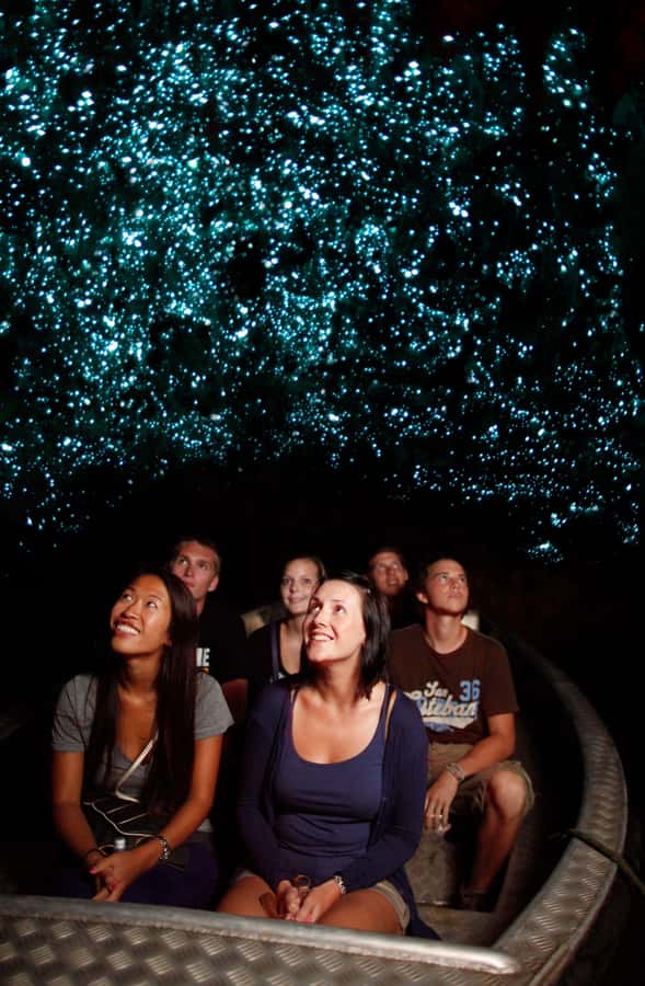 From Auckland: Waitomo Caves and Kiwi House Group Tour - Entering the Waitomo Glowworm Caves
