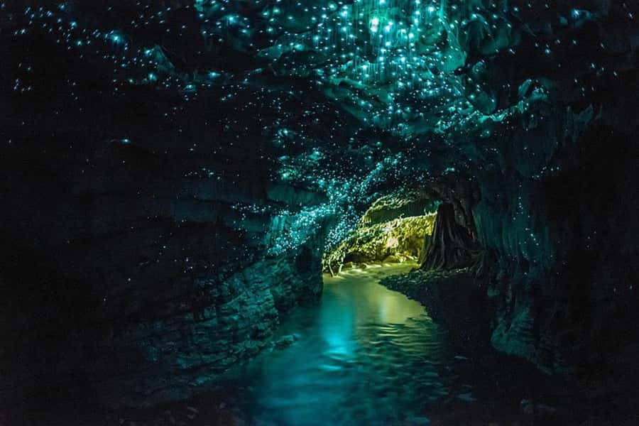 From Auckland: Waitomo Glow Worm Caves & Rotorua Tour - Auckland to Waitomo through the Waikato