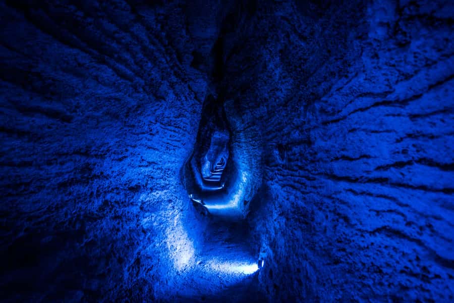 From Auckland: Waitomo Glowworm and Ruakuri Caves Day Tour - The 45-minute Waitomo Glowworm Caves visit