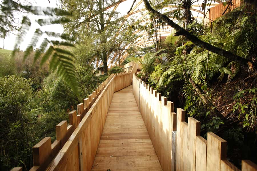 From Auckland: Waitomo Glowworm and Ruakuri Caves Day Tour - Transport, comfort, and guide quality