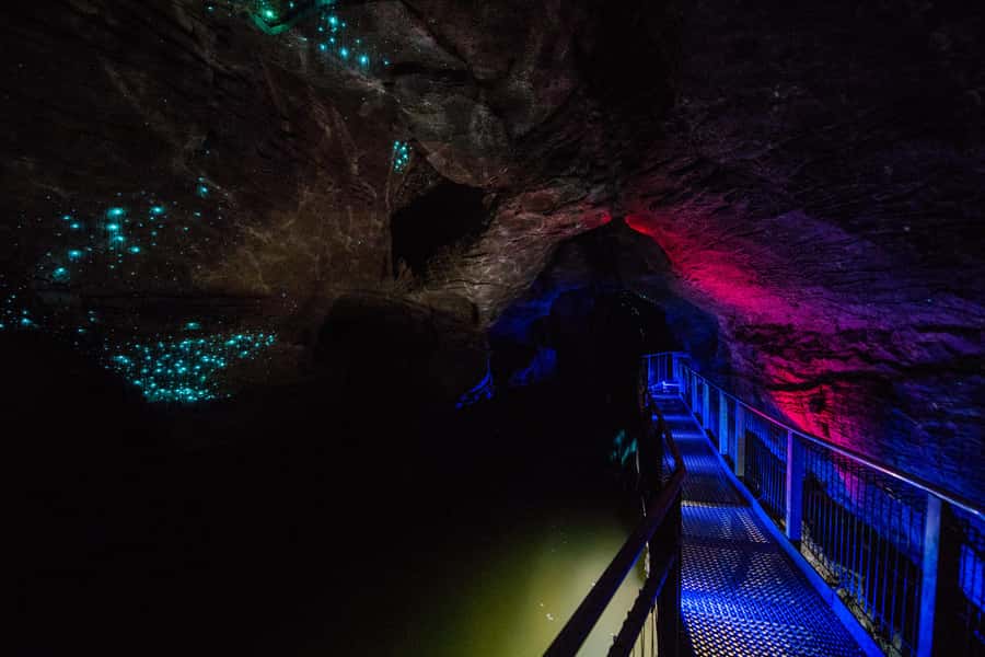 From Auckland: Waitomo Glowworm and Ruakuri Caves Day Tour - What to bring and what to leave behind