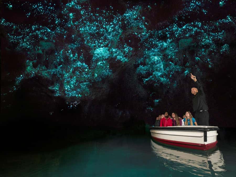 From Auckland: Waitomo Glowworm Cave Tour - The first look at Waitomo’s cave formations