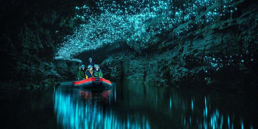 From Auckland: Waitomo Glowworm Cave Tour - Pickup in Auckland and the road to Waitomo