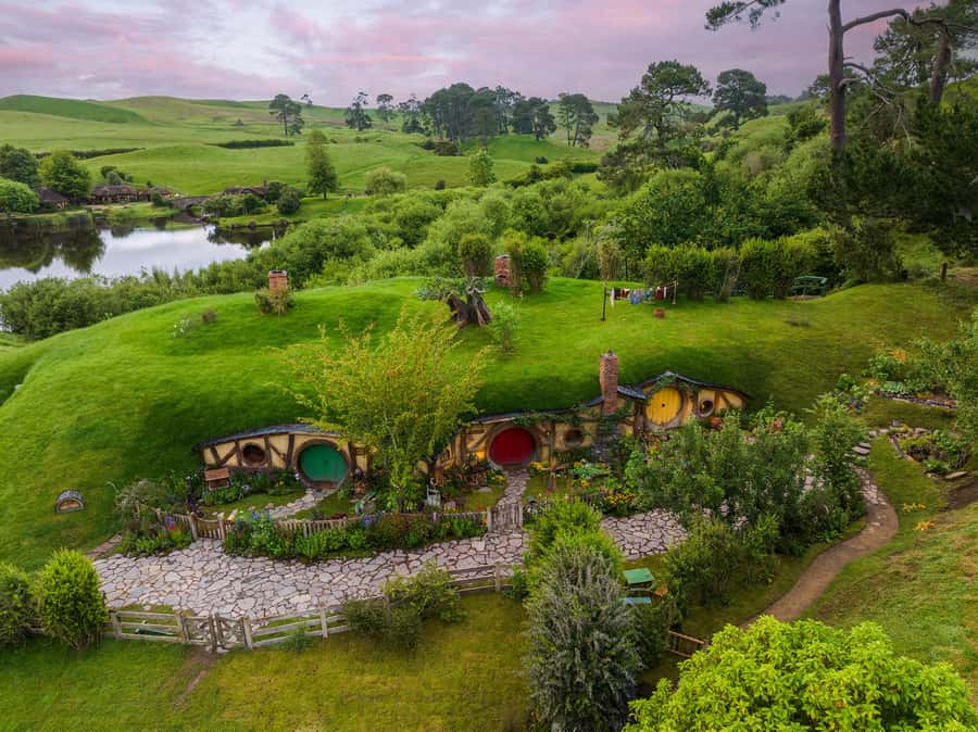 From Auckland: Waitomo & Hobbiton Bus Tour with Lunch - Key points at a glance