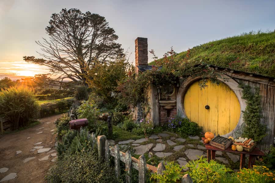 From Auckland: Waitomo & Hobbiton Bus Tour with Lunch - Leaving Auckland for the Waikato countryside