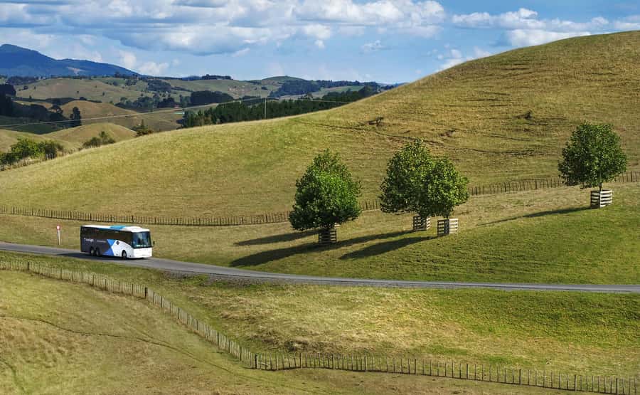 From Auckland: Waitomo & Hobbiton Bus Tour with Lunch - My verdict on Waitomo and Hobbiton from Auckland
