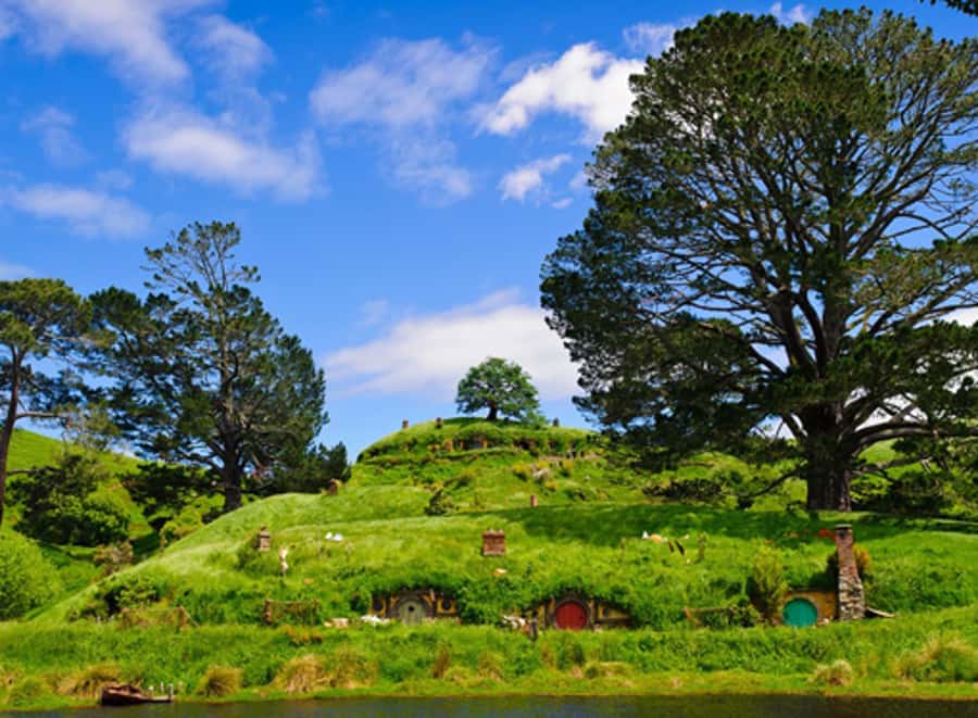 From Auckland: Waitomo & Hobbiton Bus Tour with Lunch - Waitomo Glowworm Caves and the 45-minute underground tour