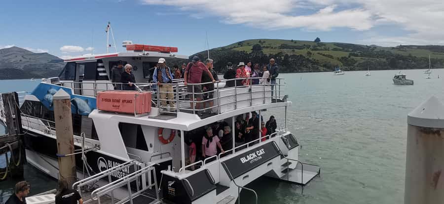 From Christchurch: Akaroa Day Tour with Optional Cruise - Why the Christchurch to Akaroa road matters