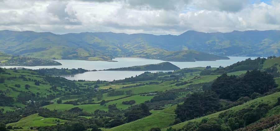 From Christchurch: Akaroa Day Tour with Optional Cruise - The optional Akaroa Harbour nature cruise