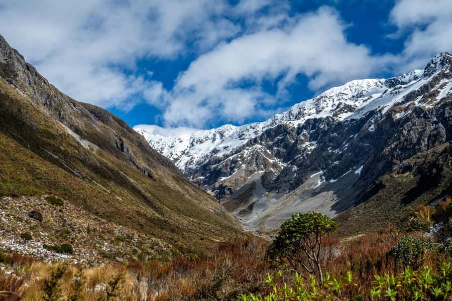 From Christchurch: Arthur's Pass with TranzAlpine & Lunch - Lunch, snacks, transport, and comfort