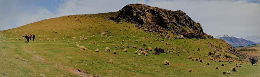 From Christchurch: Full-Day Lord of the Rings Tour to Edoras - Is $194 good value?